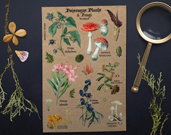 Vintage Poisonous Plant Stickers: Botanical Illustration Set