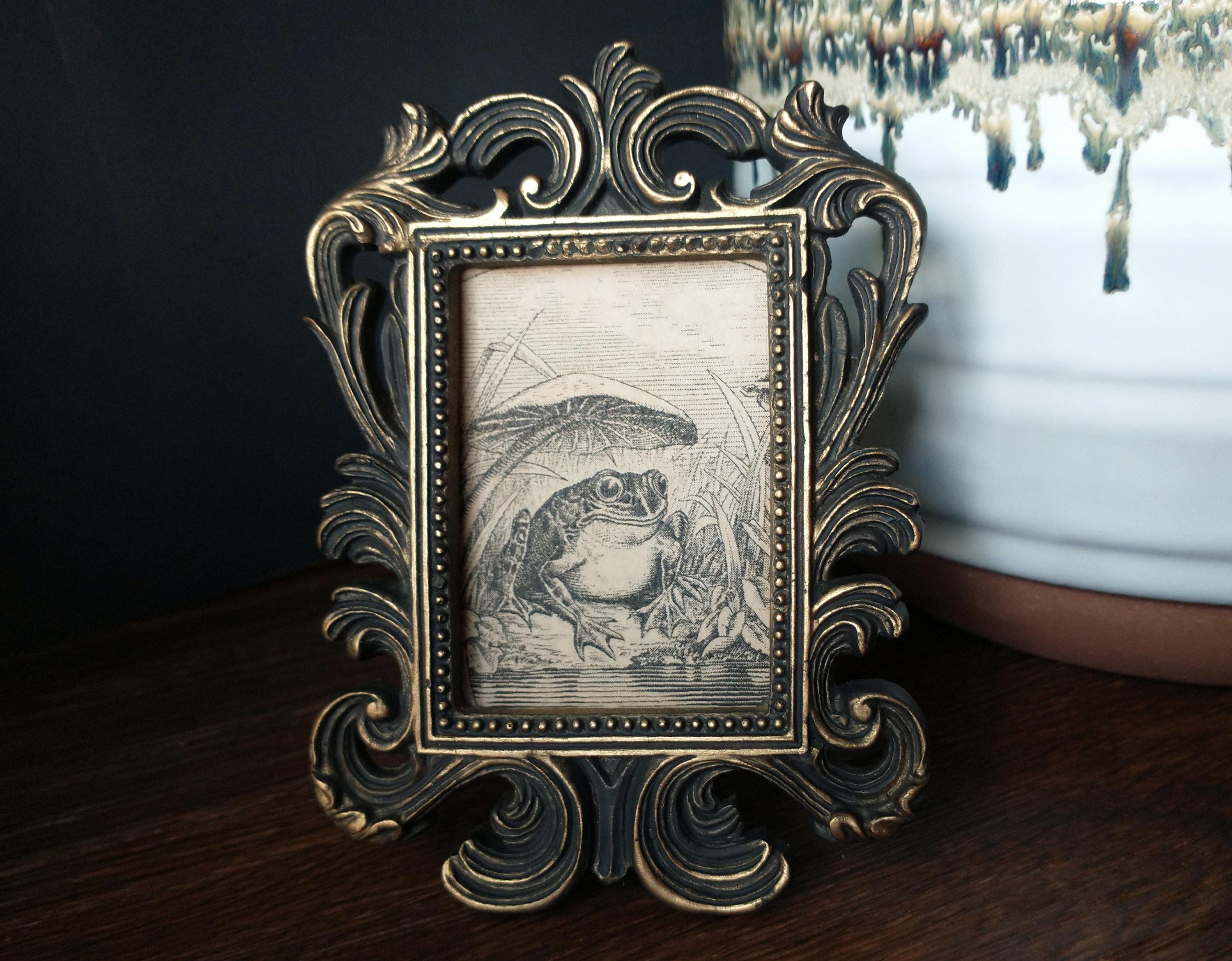 Vintage Happy Frog Print in Baroque Frame - Antique Funny Frog Art Framed In Rectangular Scrollwork Frame