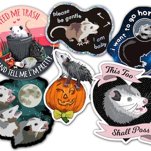 Possum Sticker Pack - Mix of Opossum Vinyl Stickers - 6 Designs