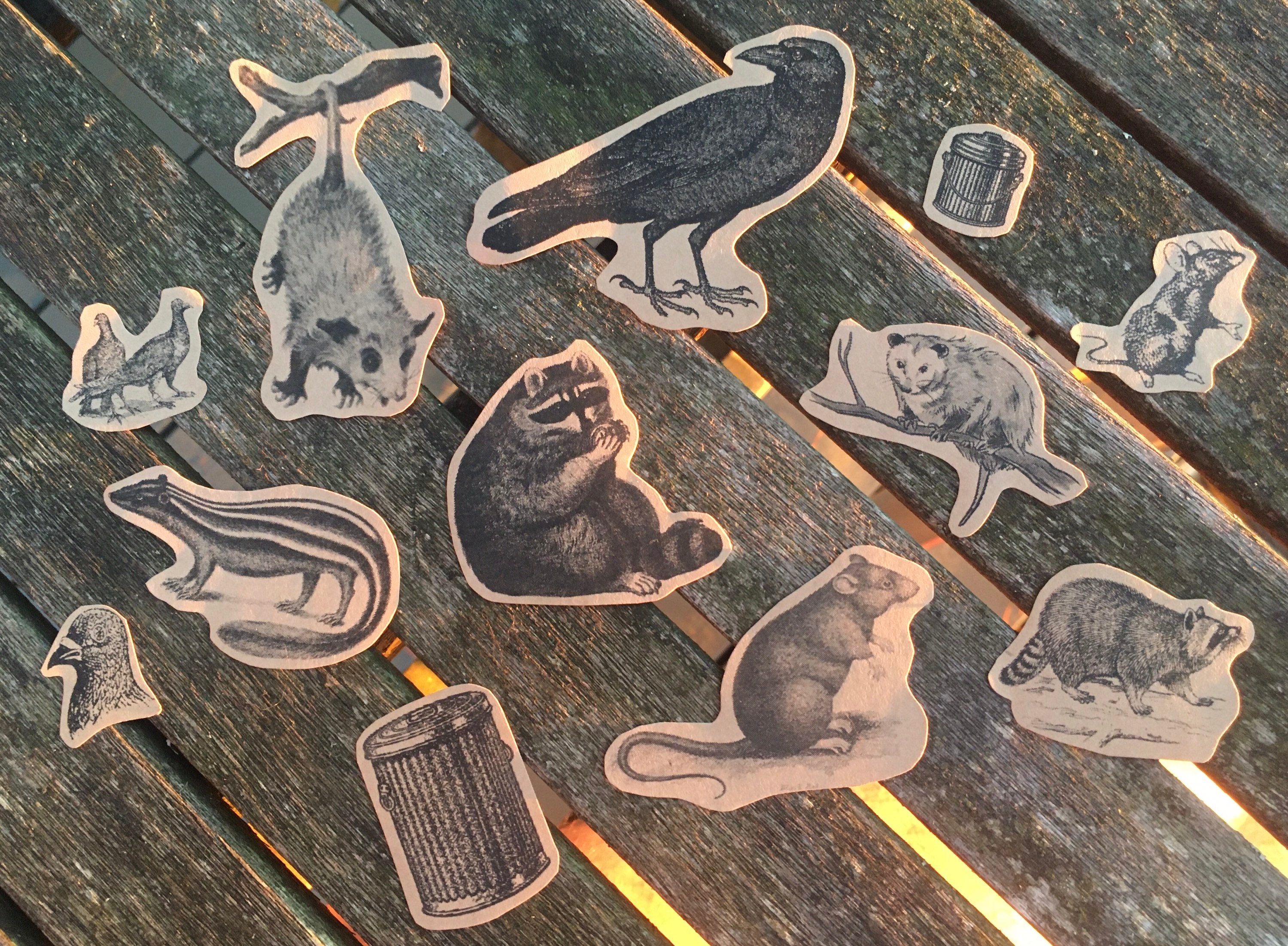 Trash Friends Vintage Kraft Stickers (12 sticker pack) - Raccoon, Pos…