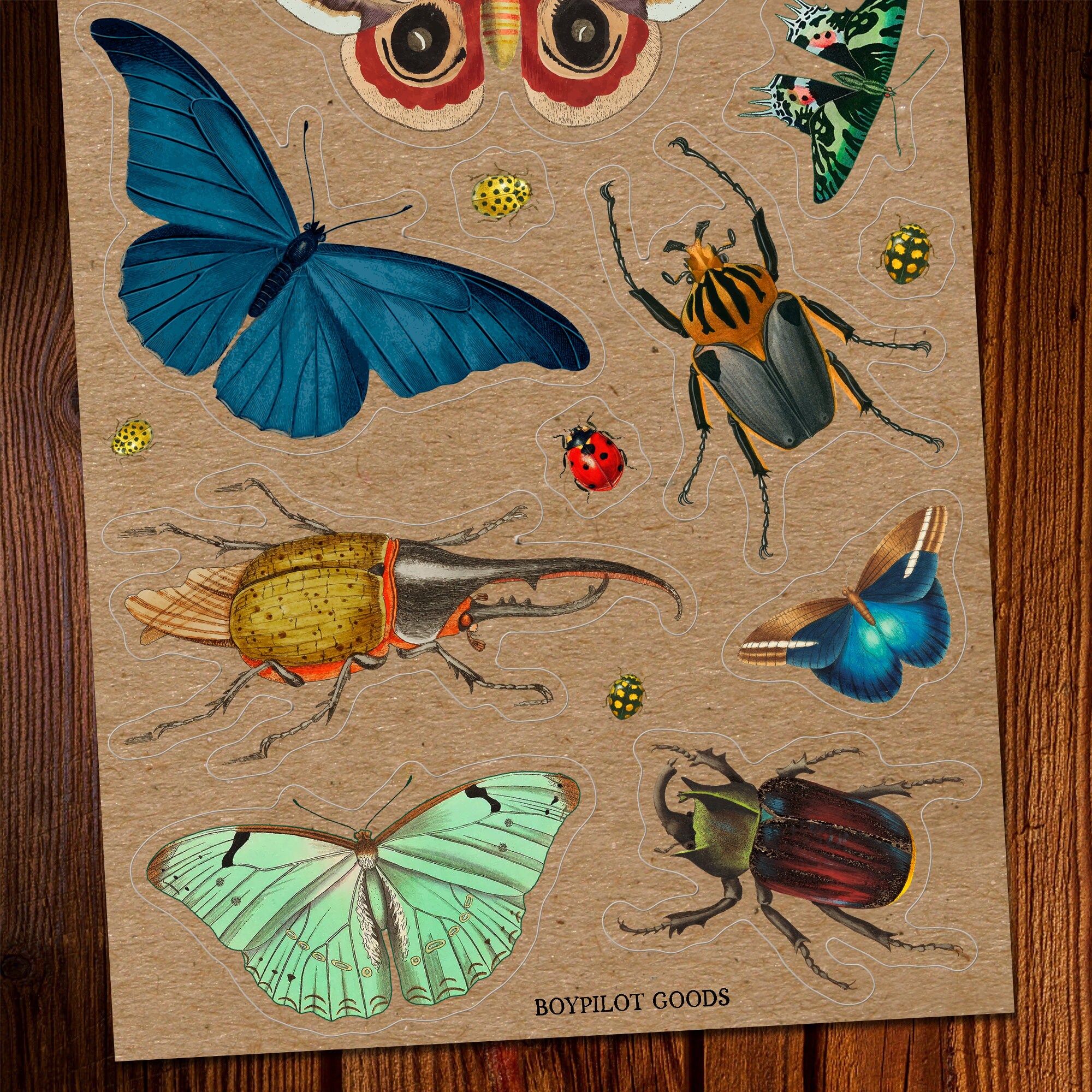 Bugs & Botany Vintage Sticker 2-pack - Beetles and Butterflies ...