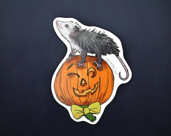Halloween Possum Sticker – Cute Opossum on Pumpkin, 3" Vinyl