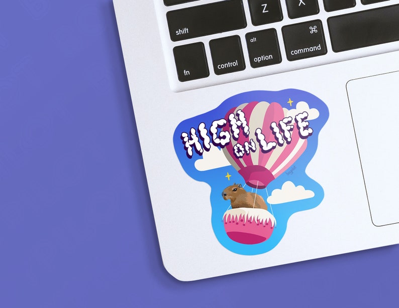 May include: A sticker featuring a cartoon capybara riding in a hot air balloon with the text "High on Life". The balloon is pink and white with a blue sky and clouds in the background.