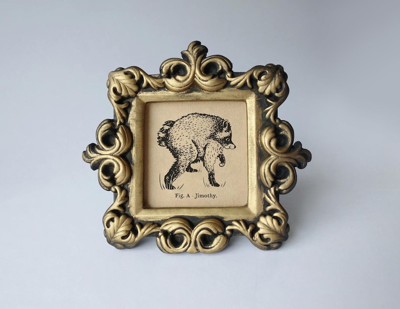 May include: A square picture frame with an ornate, gold-painted finish and dark recessed detailing. Inside the frame is a tan-colored print featuring a black ink illustration of a small, furry creature and the text, Fig. A Jimothy.