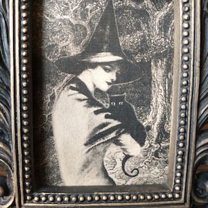 May include: A black and white image of a witch in a pointed hat holding a black cat. The image is framed in a black and gold ornate frame.