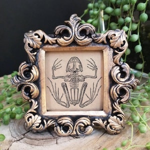 May include: A gold-colored ornate picture frame with a black background and a vintage illustration of a frog skeleton inside.