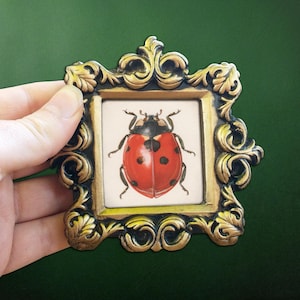 Op de afbeelding: Een kleine, sierlijke goudkleurige lijst met een gedetailleerd ontwerp. De lijst bevat een vierkante afbeelding van een rode lieveheersbeestje met zwarte stippen op een witte achtergrond. De lijst wordt tegen een groene achtergrond gehouden.