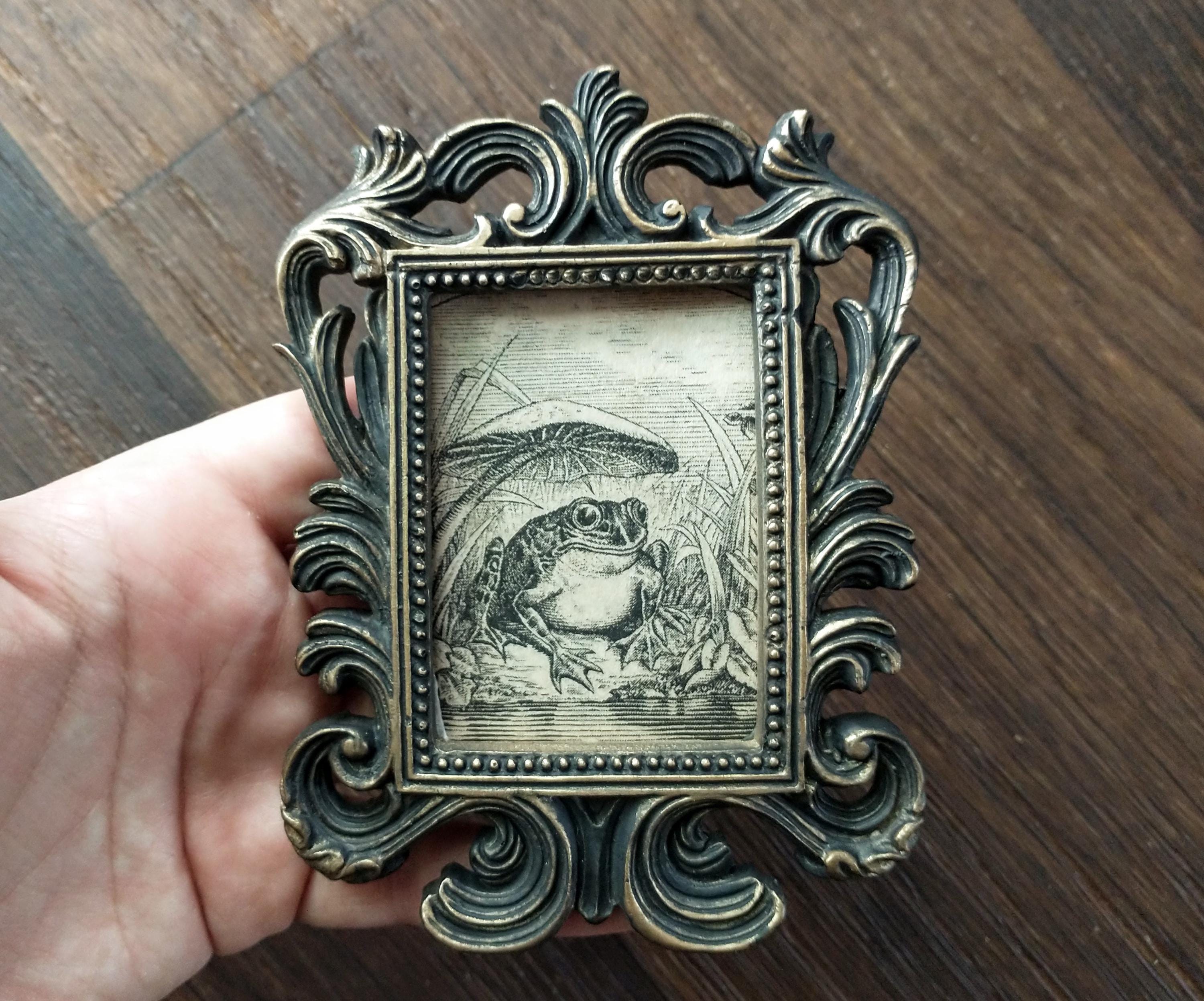 Vintage Happy Frog Print in Baroque Frame - Antique Funny Frog Art Framed In Rectangular Scrollwork Frame