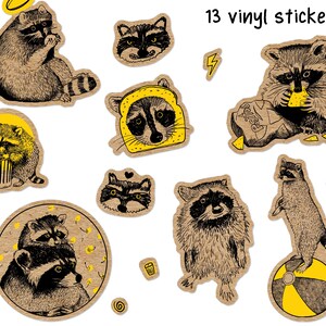 Puede incluir: Un conjunto de 13 pegatinas de vinilo con ilustraciones de mapaches en varias poses. Las pegatinas son principalmente marrones y negras con detalles amarillos. El texto "13 vinyl stickers!" est&aacute; presente.