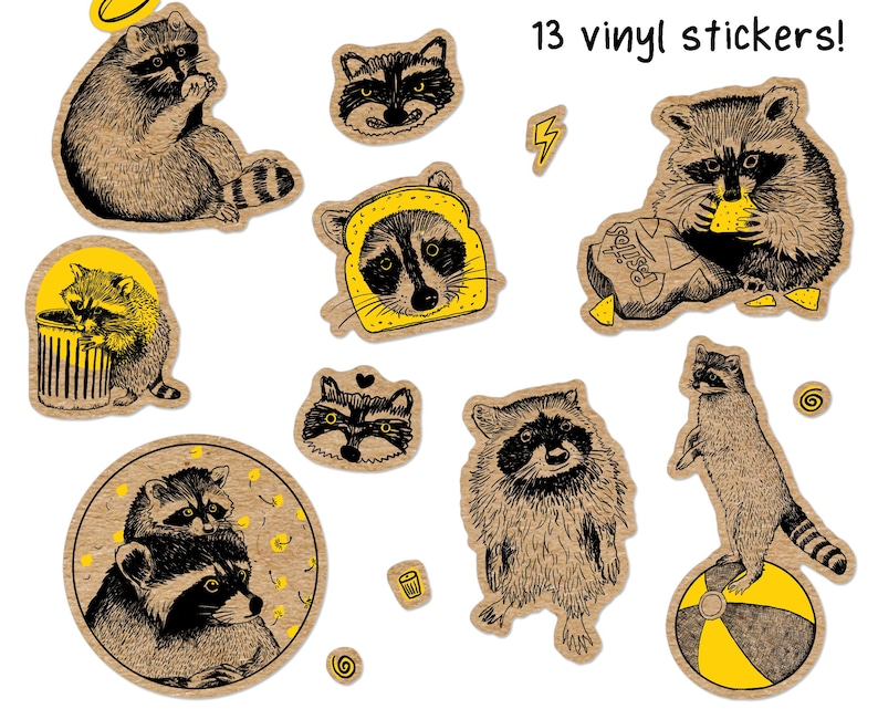 Puede incluir: Un conjunto de 13 pegatinas de vinilo con ilustraciones de mapaches en varias poses. Las pegatinas son principalmente marrones y negras con detalles amarillos. El texto "13 vinyl stickers!" est&aacute; presente.