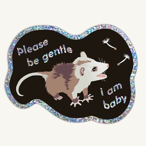 Possum Sticker 3-pack 3 Funny Opossum Stickers Glossy Vinyl 2 3 - Etsy