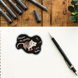 Possum Sticker 3-pack 3 Funny Opossum Stickers Glossy Vinyl 2 3 - Etsy