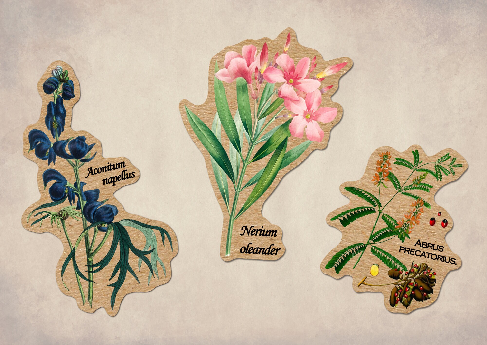 Bugs & Botany Vintage Sticker 2-pack - Beetles and Butterflies ...