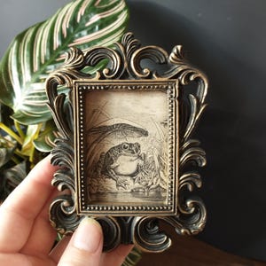 Vintage Happy Frog Print in Baroque Frame - Antique Funny Frog Art Framed In Mini Rectangular Scrollwork Frame