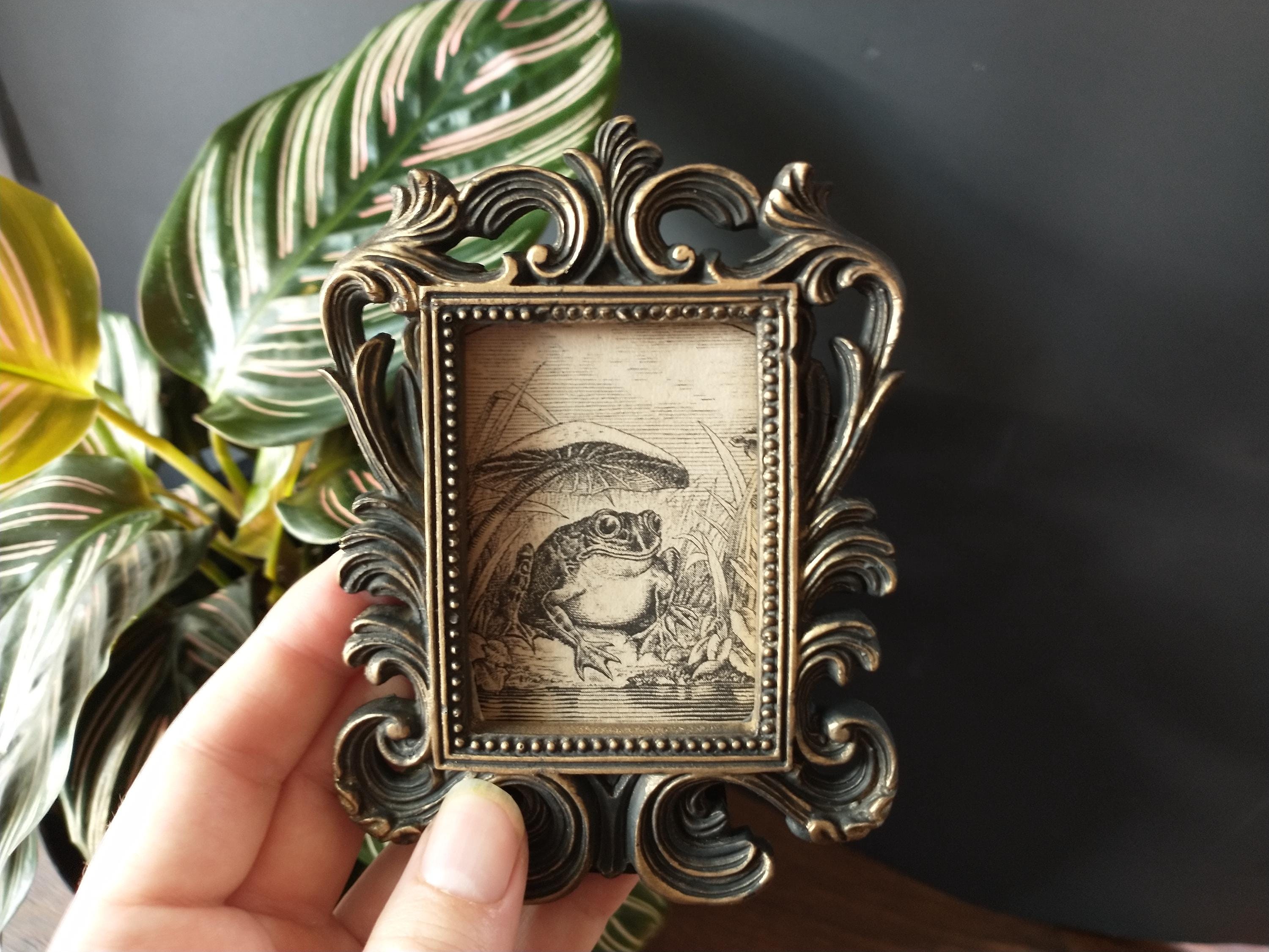 Vintage Happy Frog Print in Baroque Frame - Antique Funny Frog Art Framed In Rectangular Scrollwork Frame