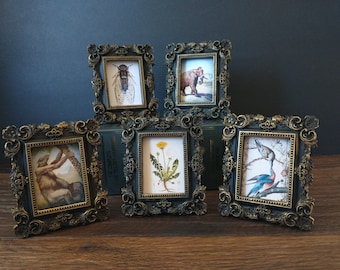 Mini Vintage Biology Prints in Tiny Gold Frames - Antique Cicada, Passenger Pigeon, Giant Sloth, Mammoth, Dandelion Vintage Art