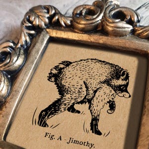 May include: A square, ornate, metallic gold-toned frame containing a tan-colored print. The print features a black ink illustration of a furry, four-legged creature in a walking pose, with the text "Fig. A - Jimothy." printed in black below it.