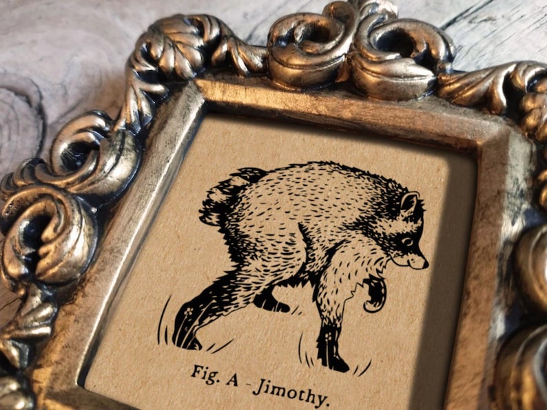 May include: A square, ornate, metallic gold-toned frame containing a tan-colored print. The print features a black ink illustration of a furry, four-legged creature in a walking pose, with the text "Fig. A - Jimothy." printed in black below it.