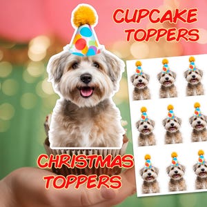Dog Party Cupcake Toppers Custom Dog wit Hat Cupcake Toppers Party Hat Pet Birthday  Favors Decor Dog Face On Stick Printable Dog Toppers