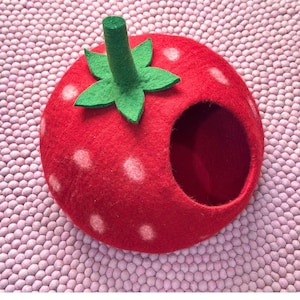 May include: A red felt strawberry-shaped pet bed with white spots, a green stem, and a circular entrance. The bed is designed to resemble a strawberry and is placed on a pink textured surface.