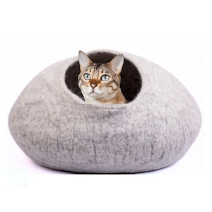 May include: A gray felt cat bed with a round opening. A brown and tan cat with blue eyes is looking out of the opening. The cat bed is a light gray color and has a smooth texture. The background is white.