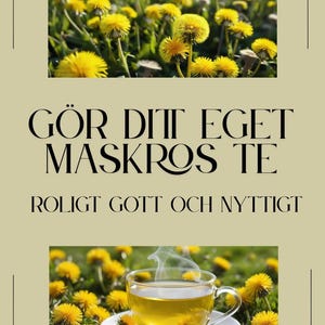 May include: A close-up of a cup of dandelion tea with steam rising from it. The cup is surrounded by yellow dandelions. The text "GÖR DITT EGET MASKROS TE ROLIGT GOT OCH NYTTIGT" is written in black letters on a beige background.