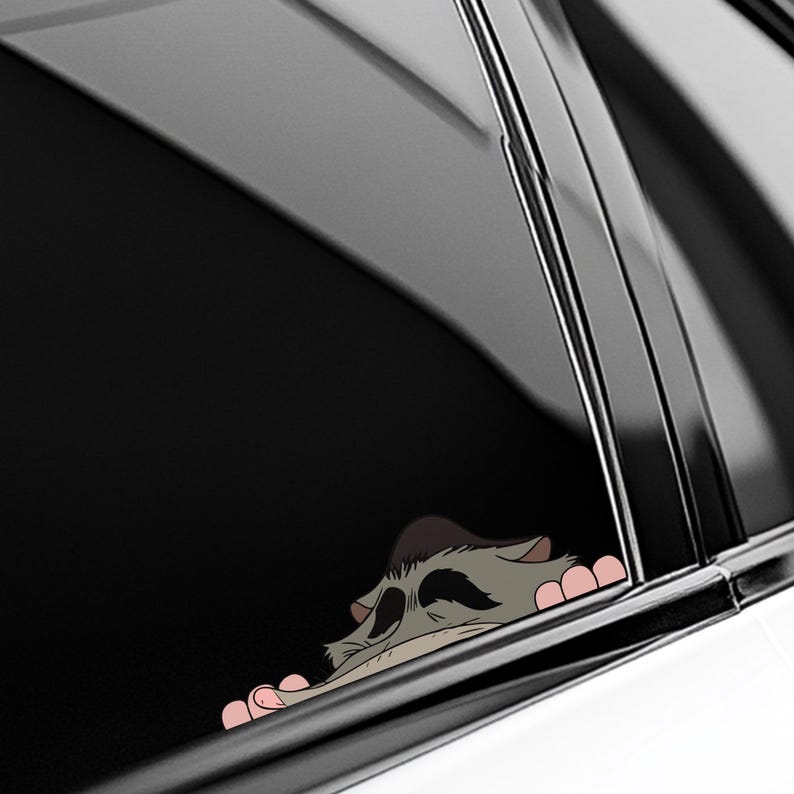 May include: A car window decal featuring a cartoon raccoon peeking out. The raccoon has gray fur, a black mask, and pink paws. The decal is designed to be applied to a car window.