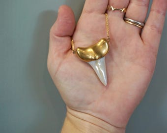 24" Gold Shark Tooth Porcelain and Gold filled Necklace