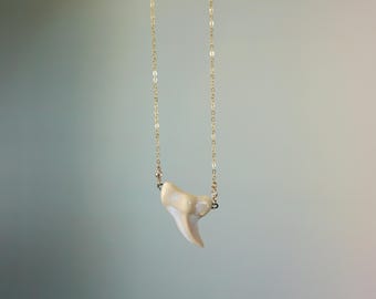 20" Shark Tooth Porcelain and Gold filled Necklace
