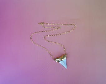 20" Gold Shark Tooth Porcelain and Gold filled Necklace