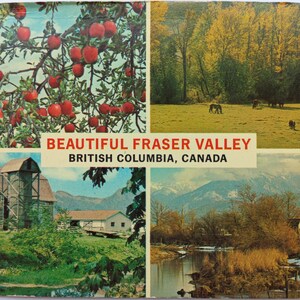 Postal vintage del valle del Fraser, Columbia Británica, Canadá / Tarjeta aérea de viaje panorámico de la década de 1970 / Granjas exuberantes, montañas, caballos y manzanos