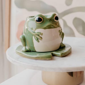 May include: A green ceramic frog planter with a white belly and black eyes. The frog is sitting on a green ceramic leaf.