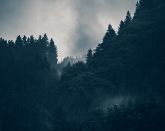 Atmospheric forest photography - mystical photos, dark images, nature photographs as wall art, digital download