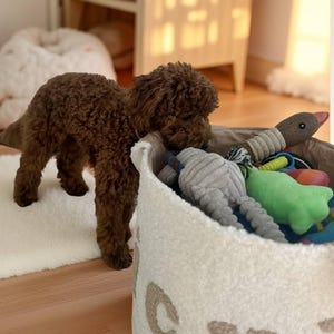 Spielzeug-Haustier-Aufbewahrungs-handgemachter Plüsch-Hasenohren-Korb - personalisierte Lagerung für Kinderzimmer & Heim weiche Spielzeug-Haustier-Aufbewahrung für Kinderzimmer & Heim