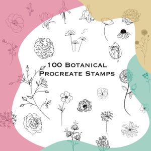 Procreate Botanical line art stamps, brushset.