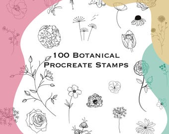 Procreate Botanical line art stamps, brushset.