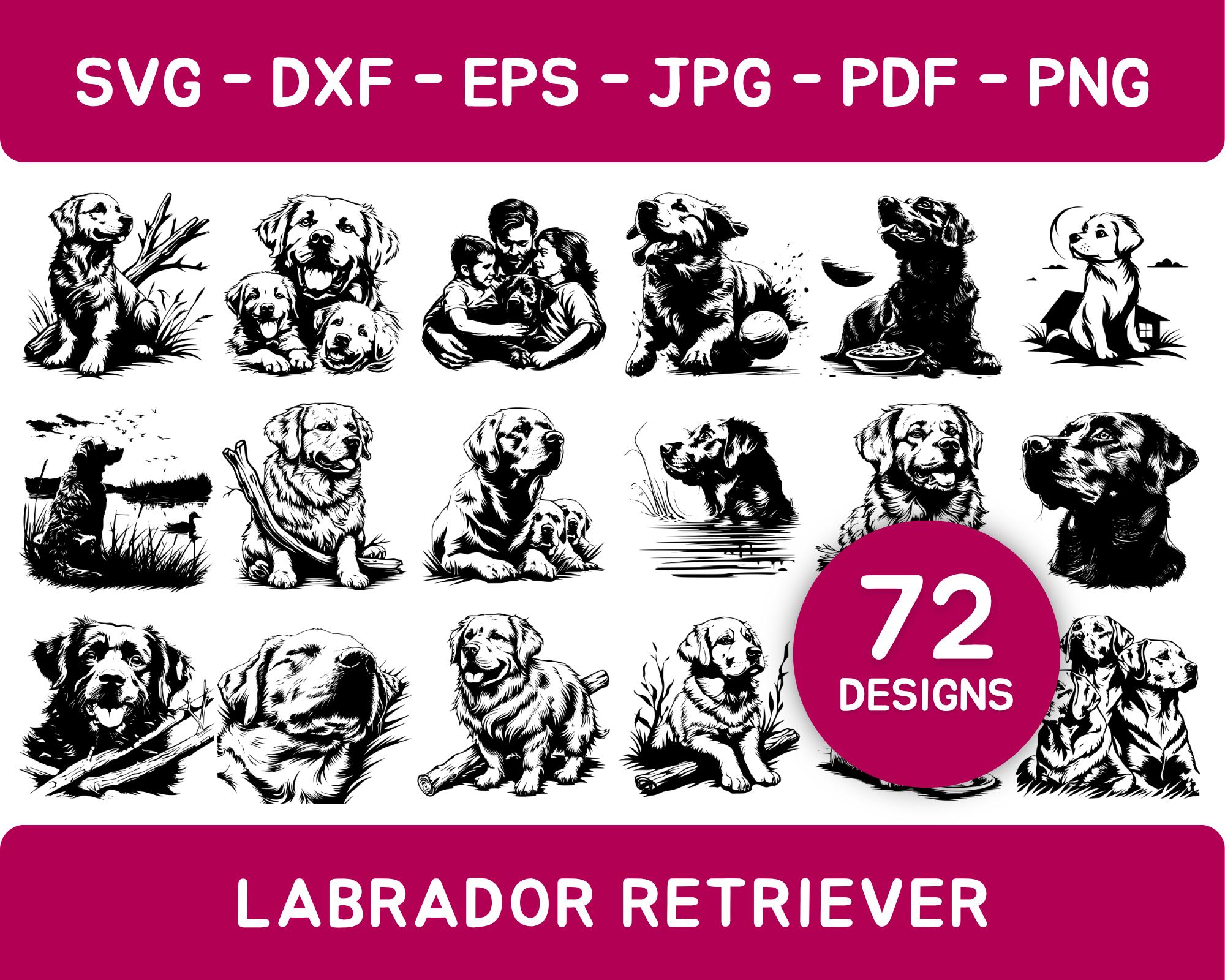 72 Labrador Retriever SVG Bundle File, Dog Graphics, Dog Clipart Cricut ...