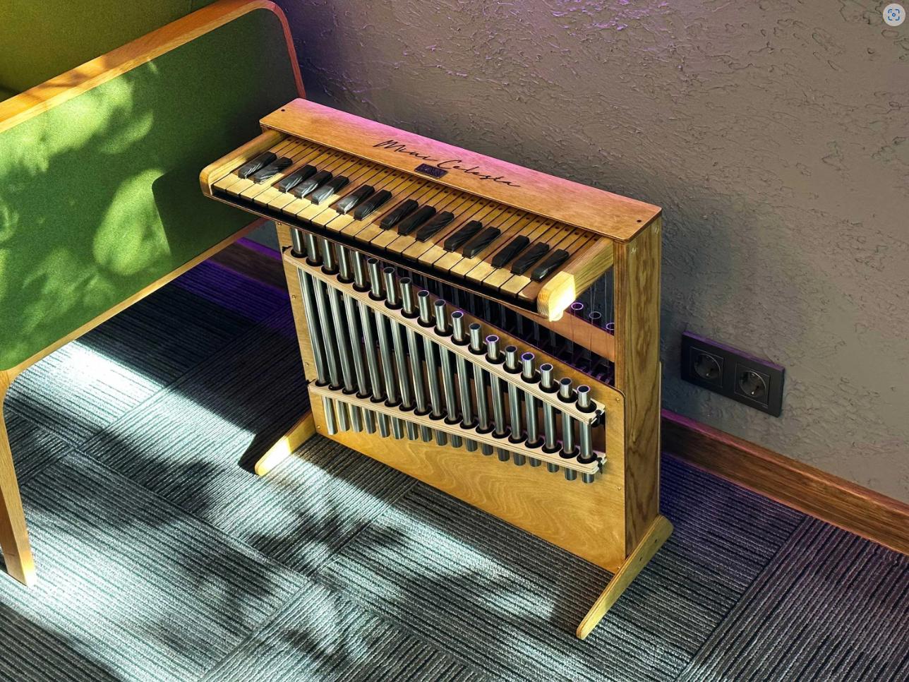Toy Piano 36 Keys Glockenspiel Celesta Bell Music Instrument - Etsy