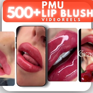 Rouleaux de fard à joues pour les lèvres vidéo | Bobines de maquillage permanent | Contenu du tatouage pour les lèvres PMU | Vidéo rouge à lèvres pour les réseaux sociaux | Pack de rouleaux d'esthéticienne