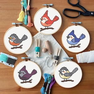 Könnte beinhalten: Eine Sammlung von fünf Kreuzstich-Vogeldesigns in Stickrahmen. Jeder Rahmen zeigt einen anderen Vogel, darunter einen Kardinal, einen Blue Jay und ein Rotkehlchen, alle auf Ästen sitzend. Stickgarn, Scheren und andere Bastelmaterialien sind ebenfalls sichtbar.