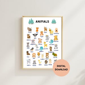 Animals Poster, printable, Educational Poster, classroom wall decor, preschool teacher resources, Montessori animals