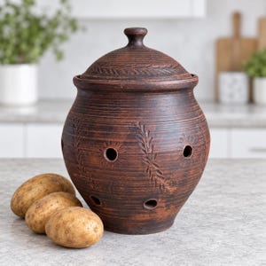 Potato Storage Container 5 lb Capacity, Breathable Terracotta Bowl with Lid, Dark Countertop Vegetable Keeper
