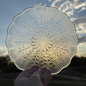 Vintage Arcoroc Glass Plates Set of 1–10 – Rare ACO32 Leaf Branch Pattern – 19 cm – Made in France