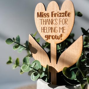 Teacher Thank You Gift | End of Year Gift | Gift for Teacher | Teacher Plant Sign | Thank You Teacher Gift | Plant Sign | Gift for Teachers
