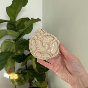 Könnte beinhalten: Eine gesprenkelte Keramik-Farbpalette mit einer organischen Form. Die Palette ist beige mit dunkelbraunen Sprenkeln und hat mehrere Mulden für Farbe. Sie hat eine Daumenauflage. Die Palette wird vor einer grünen, belaubten Pflanze gehalten.
