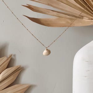 Shell Necklace | Gold Plated Stainless Steel Chain with Ceramic Seashell Charm