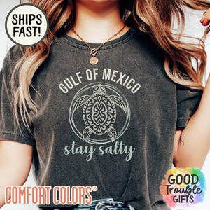 Gulf of Mexico Stay Salty Resistance Tee, Anti Trump shirt, Subtle Political Shirt Resist T-shirt Gift for Democrat Not My President Shirt