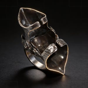 May include: A unique silver ring with an abstract, sculptural design. The ring features a textured band and large, petal-like elements that curve upwards. The metal has a dark, oxidized finish, creating a contrast with the polished edges.