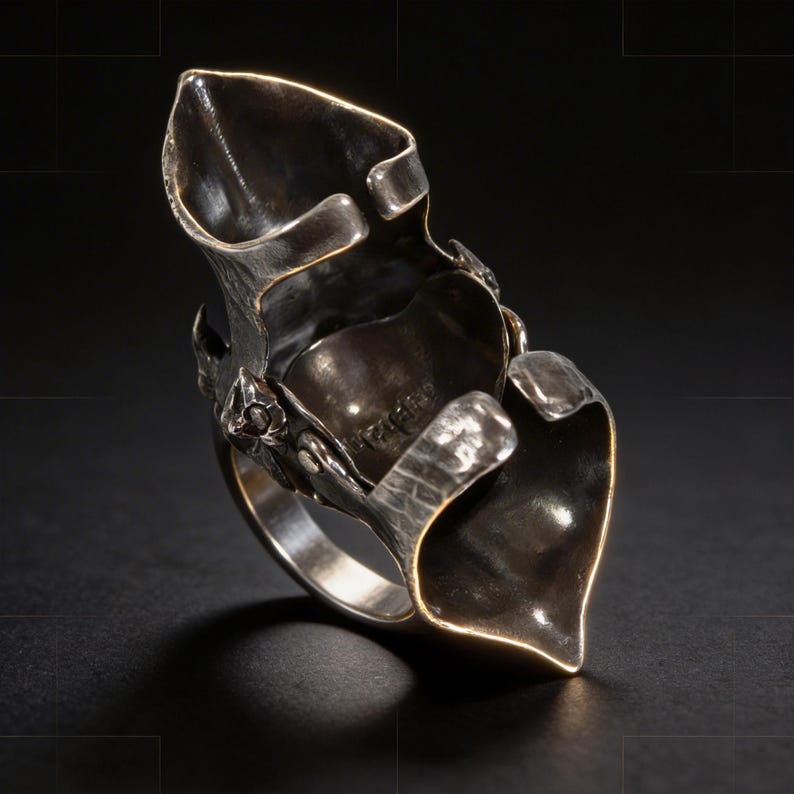 May include: A unique silver ring with an abstract, sculptural design. The ring features a textured band and large, petal-like elements that curve upwards. The metal has a dark, oxidized finish, creating a contrast with the polished edges.