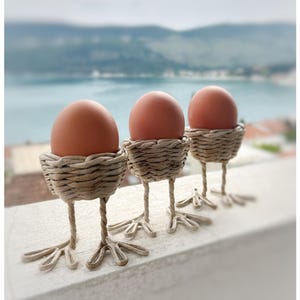 Può includere: Tre uova marroni in nidi di carta intrecciata, ogni nido ha tre gambe e piedi, che ricordano un uccello. I nidi sono su una superficie bianca.